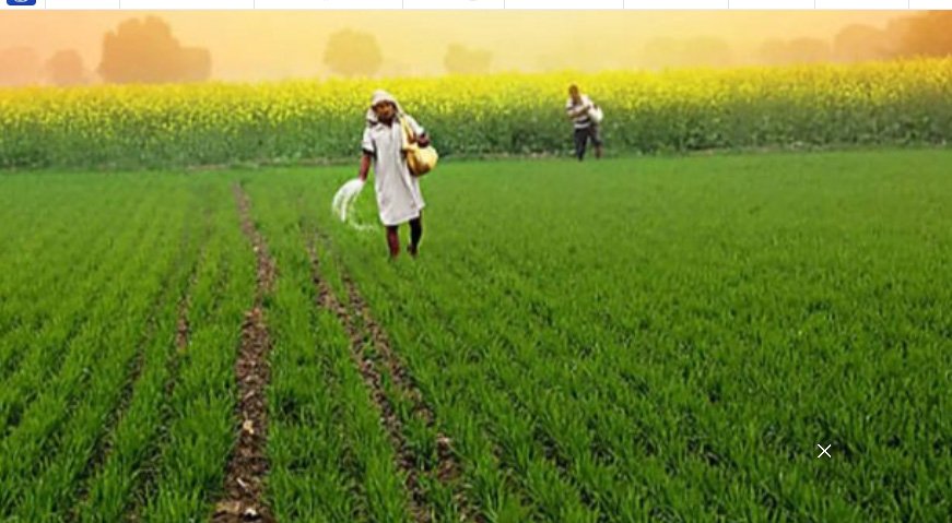 ക​ര്‍​ഷ​ക​ര്‍​ക്കാ​യി ഭാ​ര​ത് വി​സ്താ​ർ സ്ഥാ​പി​ക്കും; നാ​ളി​കേ​ര പ്രോ​ത്സാ​ഹ​ന​ത്തി​ന് പ്ര​ത്യേ​ക പ​ദ്ധ​തി