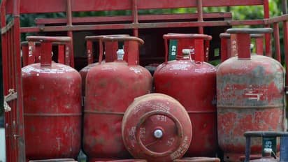 ആഘോഷങ്ങൾക്ക് സൗജന്യമായി ​എല്ലാ കുടുംബങ്ങൾക്കും ഗ്യാസ് സിലിണ്ടർ, വമ്പൻ പ്രഖ്യാപനവുമായി ബിജെപി മുഖ്യമന്ത്രി