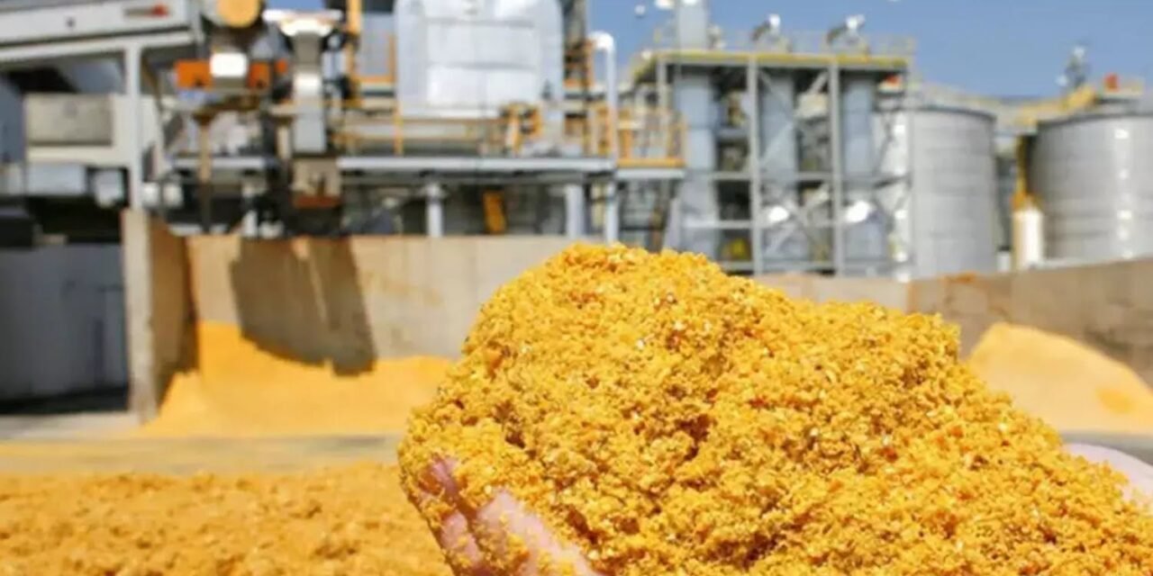 ഇന്ത്യ നിലപാട് മാറ്റി; യു.എസ് ഇറക്കുമതി ചെയ്യുക ജനതിക മാറ്റം വരുത്തിയ കാലിത്തീറ്റ