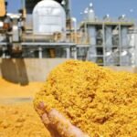 ഇന്ത്യ നിലപാട് മാറ്റി; യു.എസ് ഇറക്കുമതി ചെയ്യുക ജനതിക മാറ്റം വരുത്തിയ കാലിത്തീറ്റ