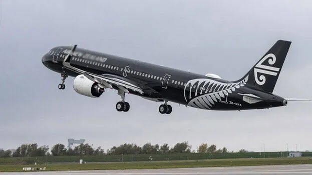 വിമാനത്തിന് കറുപ്പ് നിറം നൽകുന്ന ഒരേയൊരു രാജ്യം; വെള്ളയുടെയും കറുപ്പിന്റെയും വ്യത്യാസമെന്ത്?