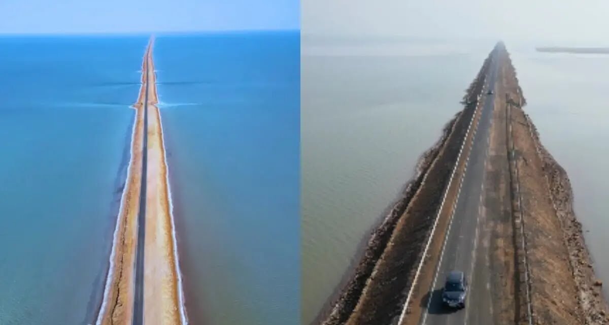 പാകിസ്താനിൽനിന്ന് 50 KM അകലെ, ‘സ്വർഗത്തിലേക്കുള്ള പാത’; ശരിക്കും അത്ഭുതമാണ് ഗുജറാത്തിലെ ഈ റോഡ്