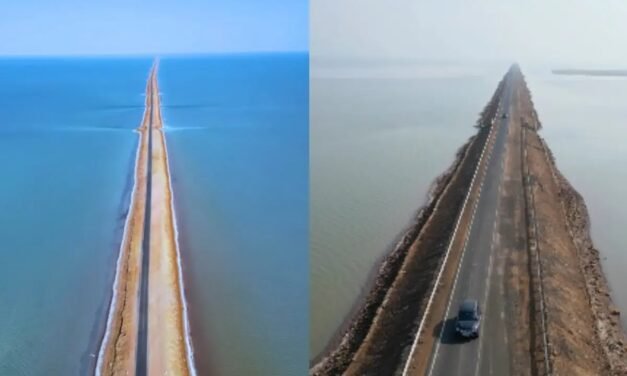 പാകിസ്താനിൽനിന്ന് 50 KM അകലെ, ‘സ്വർഗത്തിലേക്കുള്ള പാത’; ശരിക്കും അത്ഭുതമാണ് ഗുജറാത്തിലെ ഈ റോഡ്