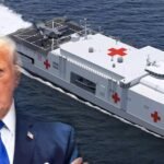 വേണ്ട, നന്ദി’; നാവിക ആശുപത്രി കപ്പൽ നൽകാമെന്ന് ട്രംപ്; നിരസിച്ച് ഗ്രീൻലാൻഡ്