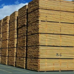 അമേരിക്ക-കാനഡ വ്യാപാര യുദ്ധം മുറുകുന്നു; കനേഡിയൻ മരം ഉത്പാദകർക്കെതിരെ കടുത്ത നടപടിക്ക് നീക്കം