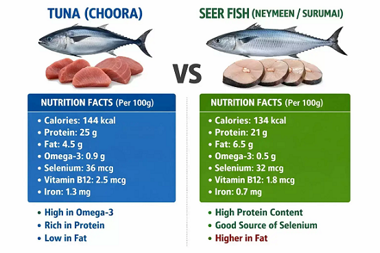 ചൂരയോ നെയ്മീനോ? ഏതാണ് ആരോഗ്യത്തിന് മികച്ചത്? രാഷ്ട്രീയ വിവാദങ്ങൾക്കിടെ ചില മീൻ വിശേഷങ്ങൾ!