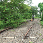 ശബരി റെയിൽപാത: ചെലവിന്റെ 50 ശതമാനം സംസ്ഥാന സർക്കാർ വഹിക്കും