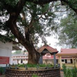 നാഗമ്പടം മഹാദേവ ക്ഷേത്രം ഇനി അന്തർദേശീയ തീർഥാടന കേന്ദ്രം