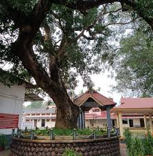 നാഗമ്പടം മഹാദേവ ക്ഷേത്രം ഇനി അന്തർദേശീയ തീർഥാടന കേന്ദ്രം