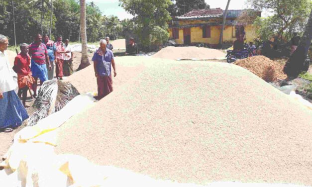 തെ​ര​ഞ്ഞെ​ടു​പ്പു കാ​ല​ത്തും ര​ക്ഷ​യി​ല്ല നെ​ല്‍​ക​ര്‍​ഷ​ക​ര്‍ ക​ണ്ണീ​ര്‍​കൊ​യ്ത്തി​ല്‍ ത​ന്നെ