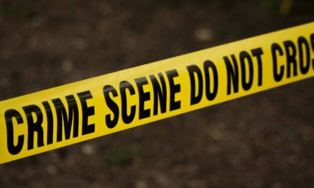 ഭാ​ര്യ​യെ​യും മ​ക​നെ​യും കൊ​ല​പ്പെ​ടു​ത്തി; ഗൃ​ഹ​നാ​ഥ​ൻ ജീ​വ​നൊ​ടു​ക്കി