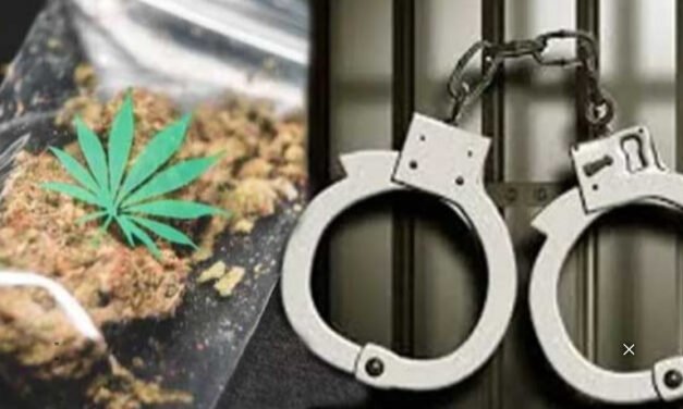 പോലീസിനെ കണ്ട് പൊതി വലിച്ചെറിഞ്ഞു; കഞ്ചാവുമായി യുവാവ് പിടിയില്‍