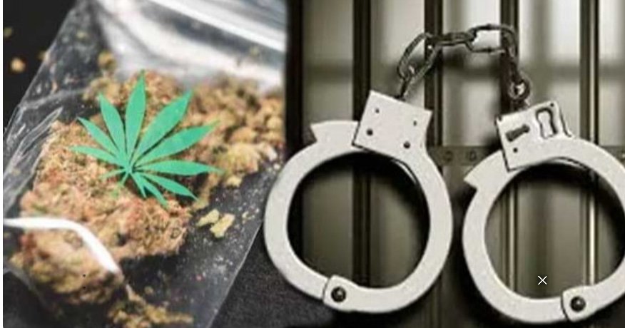 പോലീസിനെ കണ്ട് പൊതി വലിച്ചെറിഞ്ഞു; കഞ്ചാവുമായി യുവാവ് പിടിയില്‍