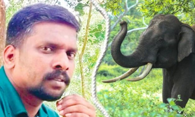 ചി​​​മ്മി​​​നി വനത്തിൽ ഫോ​റ​സ്റ്റ് വാ​ച്ച​റെ കാ​ട്ടാ​ന ച​വി​ട്ടി​ക്കൊ​ന്നു