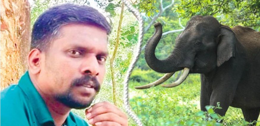 ചി​​​മ്മി​​​നി വനത്തിൽ ഫോ​റ​സ്റ്റ് വാ​ച്ച​റെ കാ​ട്ടാ​ന ച​വി​ട്ടി​ക്കൊ​ന്നു