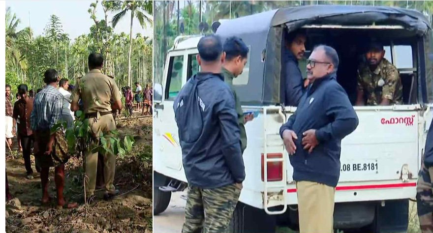 വയനാട്ടിൽ ജനവാസമേഖലയിലിറങ്ങിയ കാട്ടാനയെ മയക്കുവെടി വച്ചു