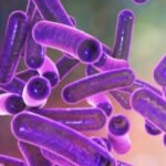 എ​ര​ഞ്ഞി​ക്ക​ലി​ൽ ഷി​ഗ​ല്ല പ‌​ട​രു​ന്നു; 12 പേ​ർ​ക്കൂ​ടി ചി​കി​ത്സ​യി​ൽ