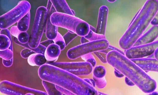 എ​ര​ഞ്ഞി​ക്ക​ലി​ൽ ഷി​ഗ​ല്ല പ‌​ട​രു​ന്നു; 12 പേ​ർ​ക്കൂ​ടി ചി​കി​ത്സ​യി​ൽ