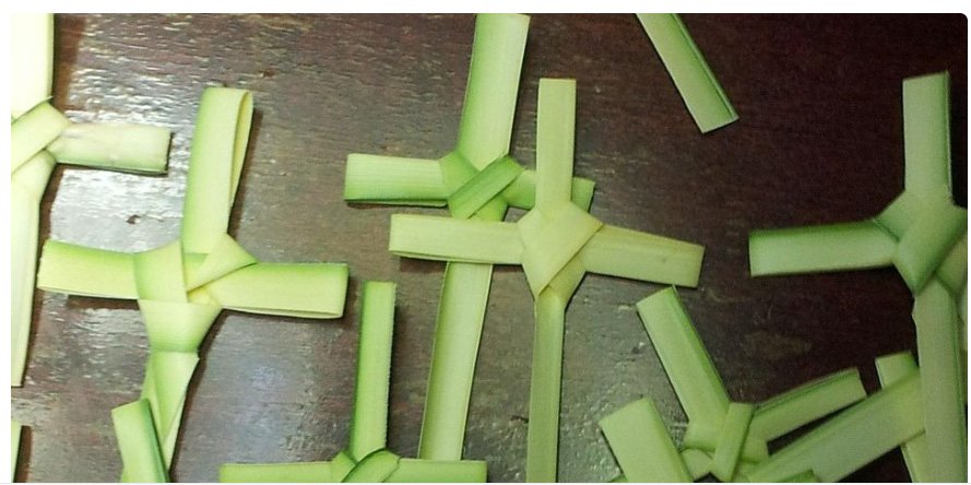 വി​ശു​ദ്ധ​വാ​ര​ത്തി​നു തു​ട​ക്ക​മി​ട്ട് ഇ​ന്ന് ഓ​ശാ​ന ഞാ​യ​ർ