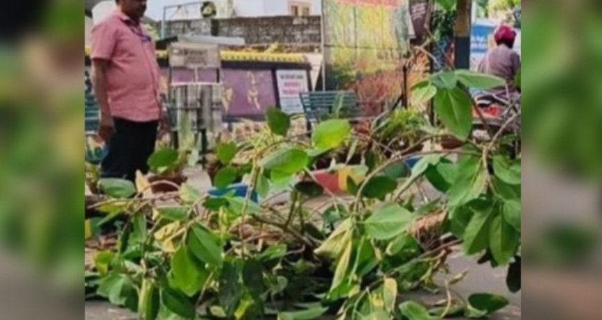 ഓ​ടി​ക്കൊ​ണ്ടി​രു​ന്ന ബൈ​ക്കി​ന് മു​ക​ളി​ല്‍ മ​ര​ക്കൊ​മ്പ് പൊ​ട്ടി​വീ​ണു; യു​വാ​വി​ന് ഗു​രു​ത​ര പ​രി​ക്ക്