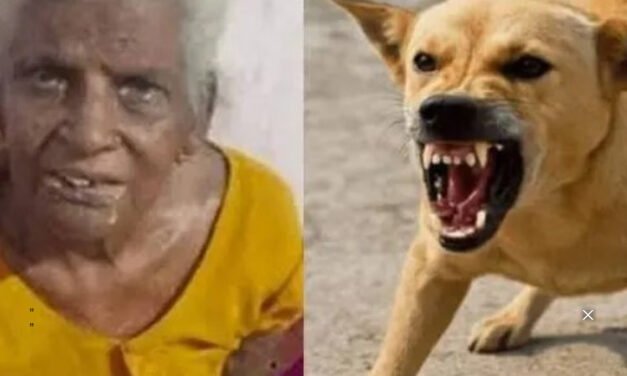 കാ​ർ​ത്യാ​യ​നി​യെ കടിച്ച നായയ്ക്കു പേ​വി​ഷ​ബാ​ധ