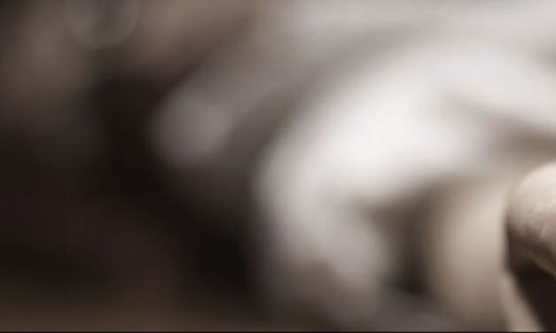 ഇടുക്കി സ്വദേശിനി ആലുവയിലെ ലോഡ്ജില്‍ മരിച്ചനിലയിൽ