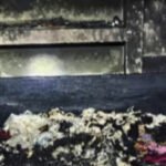 വീ​ടി​ന് തീ​പി​ടി​ച്ചു; വ​യോ​ധി​ക​ന് ദാ​രു​ണാ​ന്ത്യം