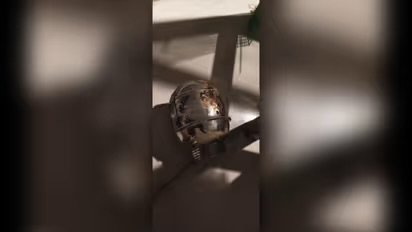 പൊലീസുകാരന്റെ വീടിന് നേരെ ബോംബെറിഞ്ഞ സംഭവം: കൊലക്കേസ് പ്രതി ഉൾപ്പടെ രണ്ട് ആർഎസ്എസ് പ്രവർത്തകർ അറസ്റ്റിൽ