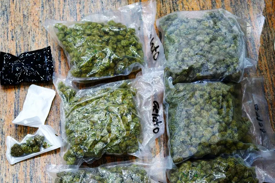 കസ്റ്റംസിനെ കബളിപ്പിക്കാൻ കൊല്ലം സ്വദേശിയായ ഡോക്ടറുടെ റിക്വസ്റ്റ്, കണ്ണൂർ സ്വദേശിയായ ഡോക്ടർ പിടിയിലായത് കോടിയുടെ കഞ്ചാവുമായി