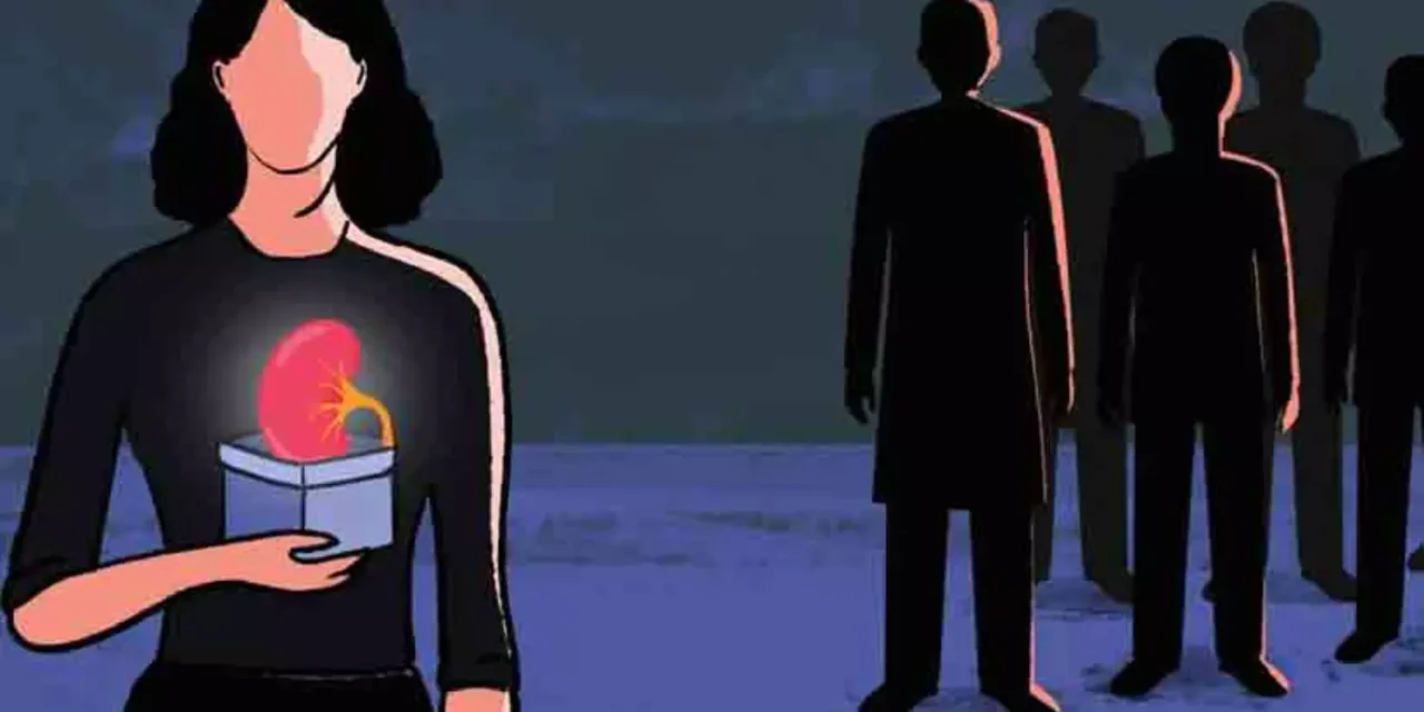 അവയവ ദാനത്തിൽ സ്ത്രീകൾ മുന്നിൽ; സ്വീകർത്താക്കളിൽ അഞ്ചിൽ നാലും പുരുഷന്മാർ