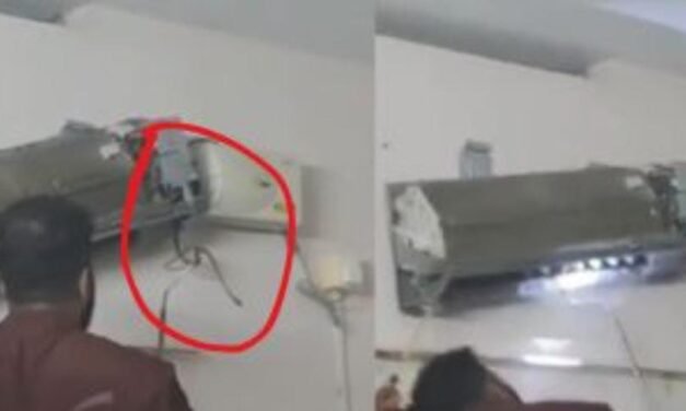 വീടിനുള്ളിലെ ബെഡ്‌റൂമില്‍ സ്ഥാപിച്ചിരുന്ന എസി യൂണിറ്റില്‍ നിന്ന് അഞ്ച് പാമ്പുകളെ പിടികൂടി