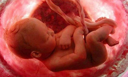 ഗർഭപാത്രത്തിലും സുരക്ഷിതരല്ല; ജനനത്തിന് മുൻപേ കുഞ്ഞുങ്ങൾ നേരിടുന്നത് 42 തരം മാരക രാസവസ്തുക്കളെ!