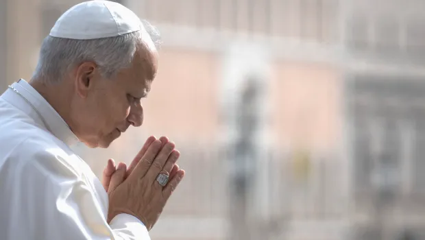 ആയുധങ്ങൾ ഉപേക്ഷിക്കുക, സംഭാഷണത്തിലൂടെ പ്രശ്നങ്ങൾ പരിഹരിക്കുക: മാർച്ച് മാസത്തിലെ ലെയോ പാപ്പയുടെ പ്രാർഥനാ നിയോഗം