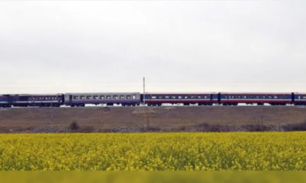 ബാ​ല​വേ​ല​യ്ക്ക് കു​ട്ടി​ക​ളെ ക​ട​ത്ത​ൽ, എ​ട്ടു​പേ​ർ അ​റ​സ്റ്റി​ൽ