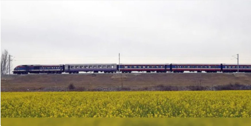 ബാ​ല​വേ​ല​യ്ക്ക് കു​ട്ടി​ക​ളെ ക​ട​ത്ത​ൽ, എ​ട്ടു​പേ​ർ അ​റ​സ്റ്റി​ൽ