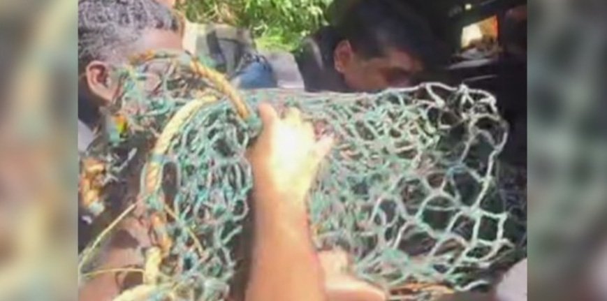 വ​യ​നാ​ട്ടി​ൽ ജ​ന​വാ​സ മേ​ഖ​ല​യി​ലി​റ​ങ്ങി​യ പു​ലി ച​ത്തു