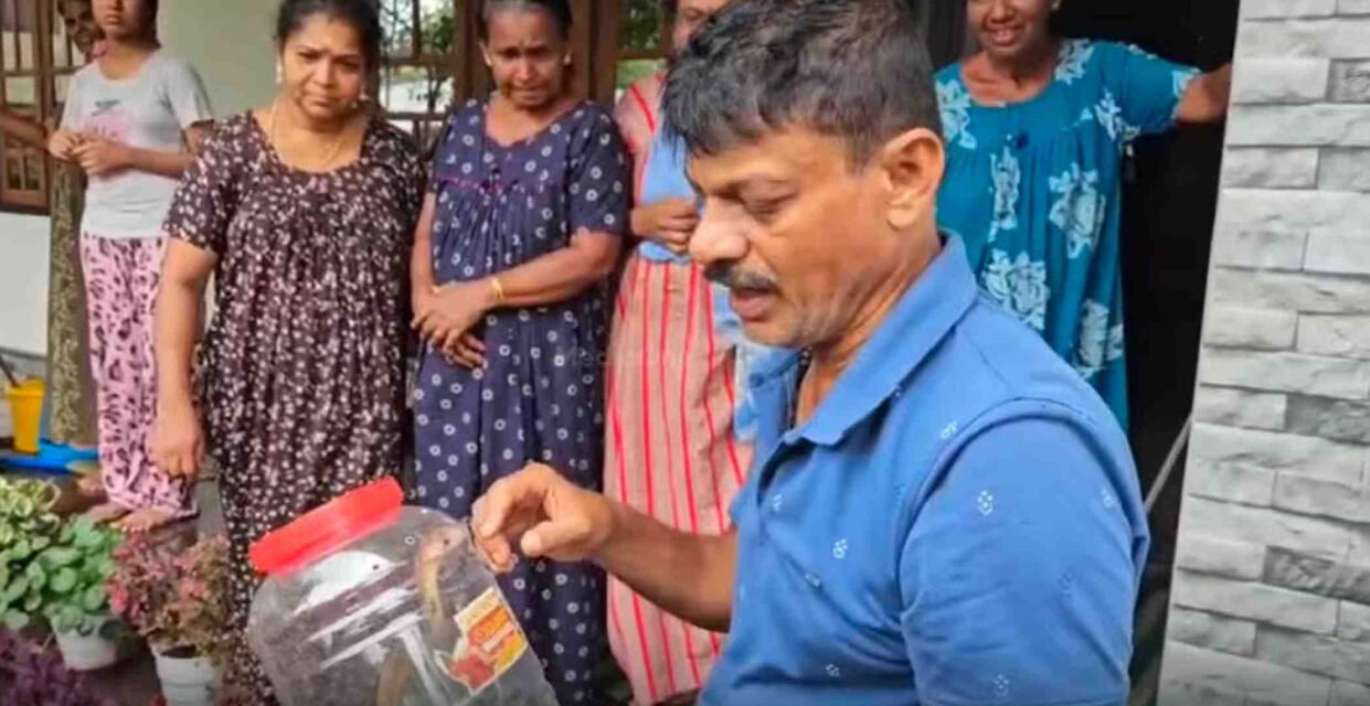 പ​ത്തി വി​ട​ര്‍​ത്തി മൂ​ര്‍​ഖ​ന്‍; കൂ​ത്താ​ട്ടു​കു​ള​ത്ത് വീ​ട്ടു മു​റ്റ​ത്ത് നി​ന്നും പാ​മ്പി​നെ പി​ടി​കൂ​ടി