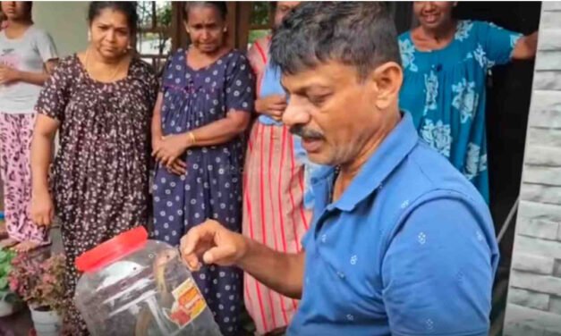 പ​ത്തി വി​ട​ര്‍​ത്തി മൂ​ര്‍​ഖ​ന്‍; കൂ​ത്താ​ട്ടു​കു​ള​ത്ത് വീ​ട്ടു മു​റ്റ​ത്ത് നി​ന്നും പാ​മ്പി​നെ പി​ടി​കൂ​ടി