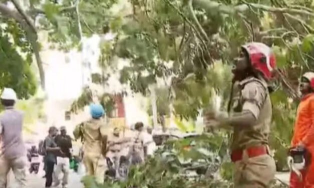 സെ​ക്ര​ട്ടേ​റി​യ​റ്റി​നു മു​ന്നി​ലെ മ​രം ഒ​ടി​ഞ്ഞു​വീ​ണു; ഗ​താ​ഗ​തം ത​ട​സ​പ്പെ​ട്ടു