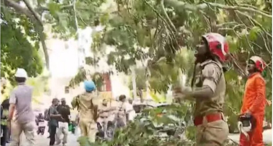 സെ​ക്ര​ട്ടേ​റി​യ​റ്റി​നു മു​ന്നി​ലെ മ​രം ഒ​ടി​ഞ്ഞു​വീ​ണു; ഗ​താ​ഗ​തം ത​ട​സ​പ്പെ​ട്ടു