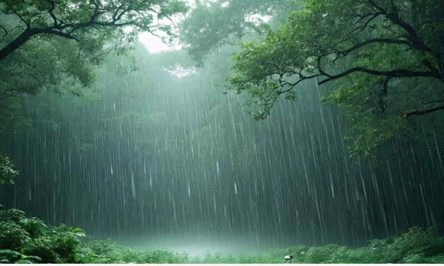 ഉരുകുന്ന ചൂടിൽ ആശ്വാസമഴ; ഒറ്റപ്പെട്ടയിടങ്ങളിൽ ഇടിയോടുകൂടിയ മഴയ്ക്ക് സാധ്യത