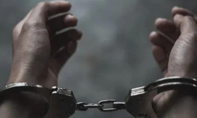 ജ​ന​നാ​യ​ക​ൻ കേ​ബി​ൾ ടി​വി​യി​ൽ പ്ര​ദ​ർ​ശി​പ്പി​ച്ച സം​ഭ​വം; ഒ​രാ​ൾ അ​റ​സ്റ്റി​ൽ