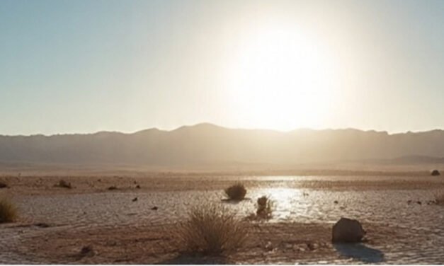 സം​സ്ഥാ​നം ചു​ട്ടു​പൊ​ള്ളു​ന്നു; ര​ണ്ട് ജി​ല്ല​ക​ളി​ൽ ഒ​ഴി​കെ താ​പ​നി​ല മു​ന്ന​റി​യി​പ്പ്