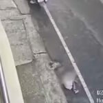 ഒ​ന്ന​ര വ​യ​സു​കാ​രി ഒ​ന്നാം നി​ല​യി​ൽ നി​ന്ന് വീ​ണു