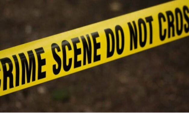 പീഡനശ്രമം നടന്നു, വയോധികയെ കൊലപ്പെടുത്തിയ കേസിൽ കുറ്റം സമ്മതിച്ച് യുവാവ്