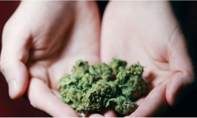 മലപ്പുറത്ത് 1.170 കിലോ കഞ്ചാവുമായി ഒരാൾ പിടിയില്‍