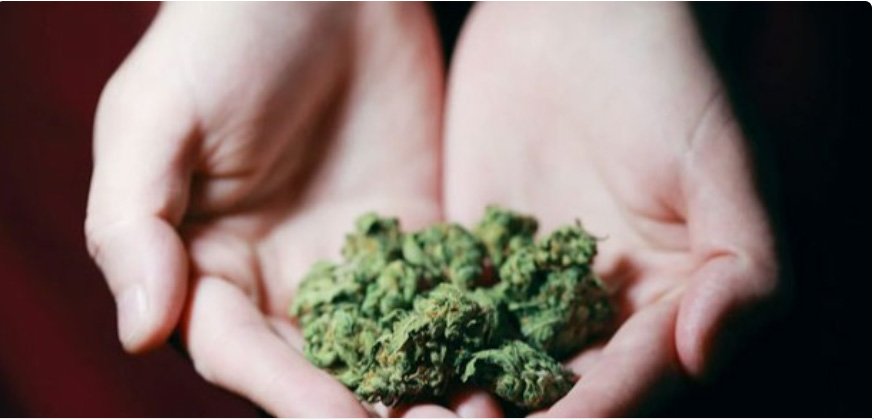 മലപ്പുറത്ത് 1.170 കിലോ കഞ്ചാവുമായി ഒരാൾ പിടിയില്‍