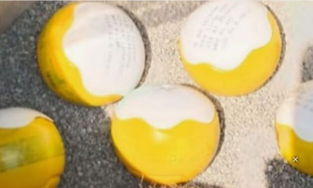 ക​ണ്ണൂ​രി​ൽ തെ​ങ്ങി​ൻ തോ​പ്പി​ൽ നി​ന്ന് ബോം​ബു​ക​ൾ ക​ണ്ടെ​ത്തി