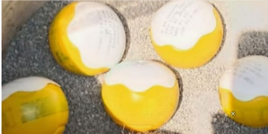 ക​ണ്ണൂ​രി​ൽ തെ​ങ്ങി​ൻ തോ​പ്പി​ൽ നി​ന്ന് ബോം​ബു​ക​ൾ ക​ണ്ടെ​ത്തി