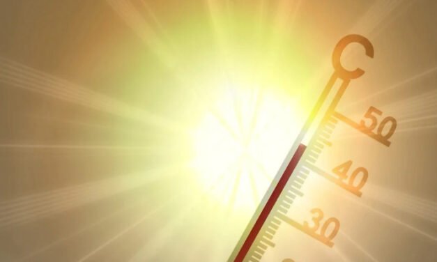 കാ​ഞ്ഞ​ങ്ങാ​ട് 13 വ​യ​സു​കാ​ര​ന് സൂ​ര്യാ​ഘാ​ത​മേ​റ്റു